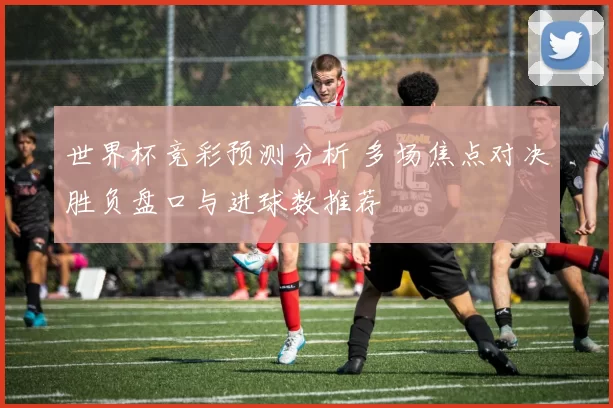 世界杯竞彩预测分析 多场焦点对决胜负盘口与进球数推荐