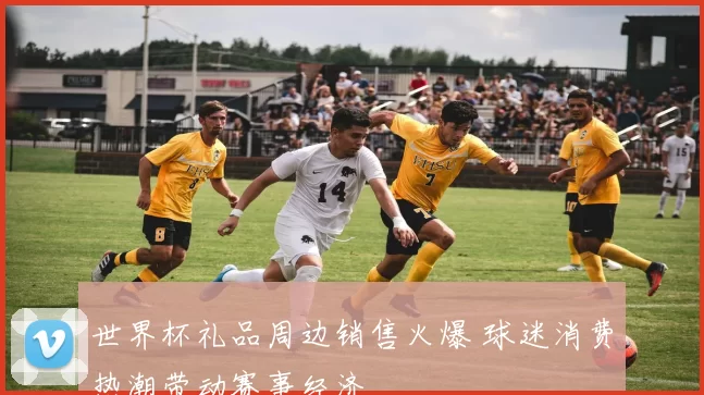世界杯礼品周边销售火爆 球迷消费热潮带动赛事经济